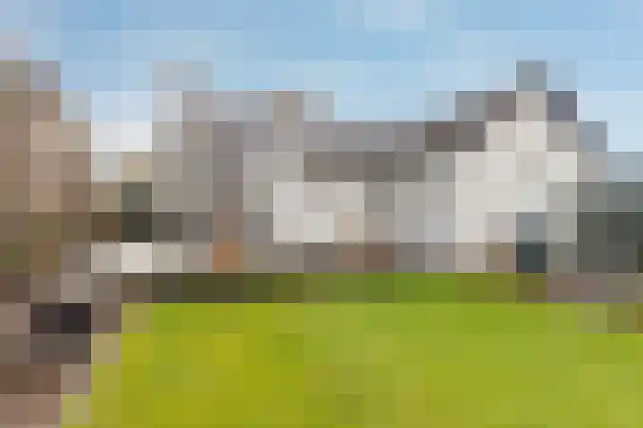 Rijstraat 6 Guttecoven thumbnail 26