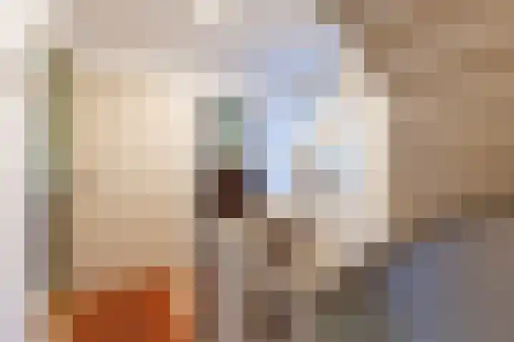 Rijstraat 6 Guttecoven thumbnail 28