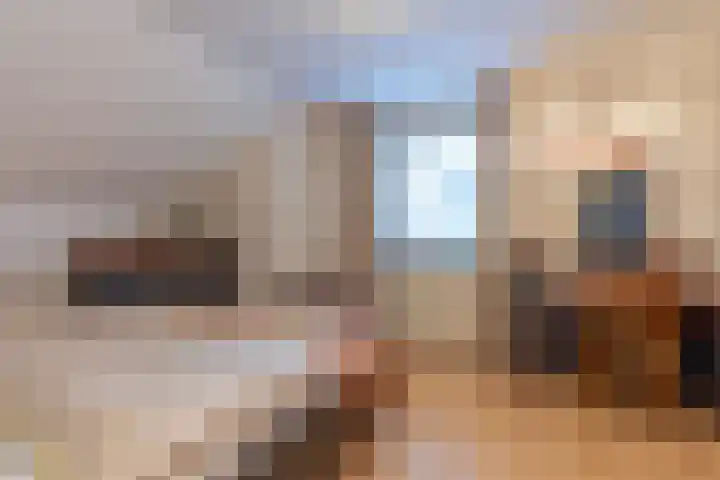 Rijstraat 6 Guttecoven thumbnail 29