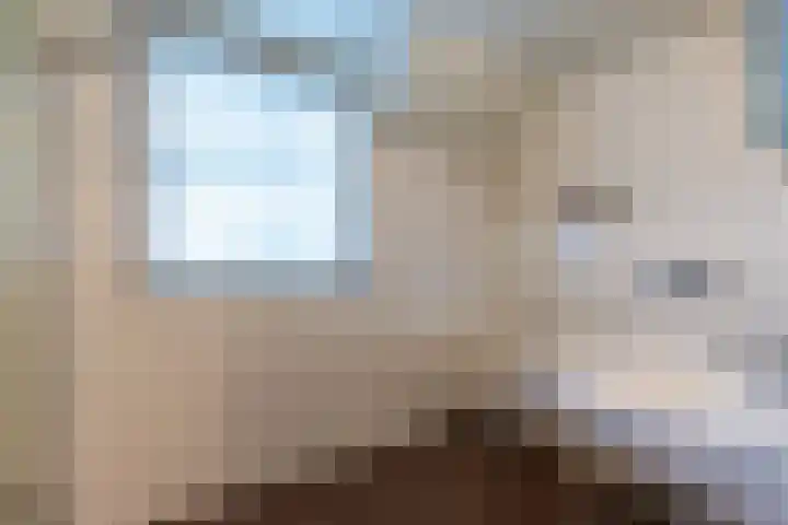 Rijstraat 6 Guttecoven thumbnail 32