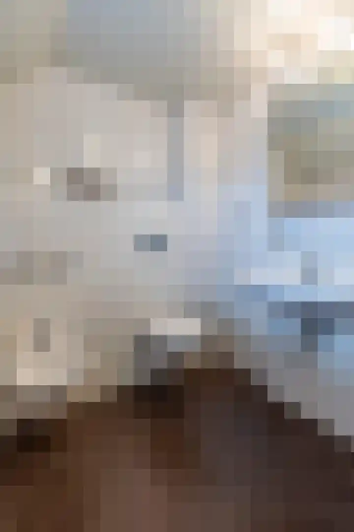 Rijstraat 6 Guttecoven thumbnail 34