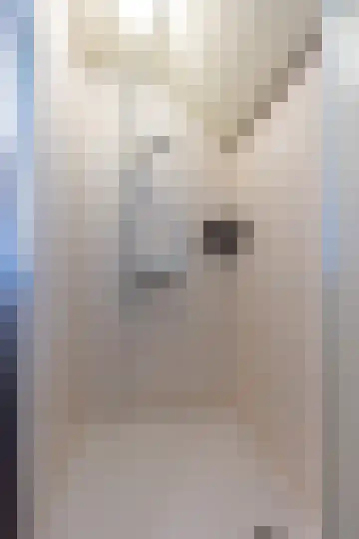 Rijstraat 6 Guttecoven thumbnail 35
