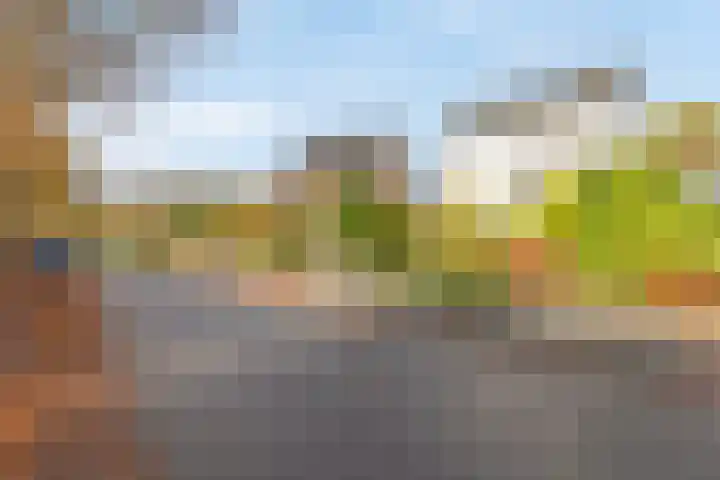 Rijstraat 6 Guttecoven thumbnail 5