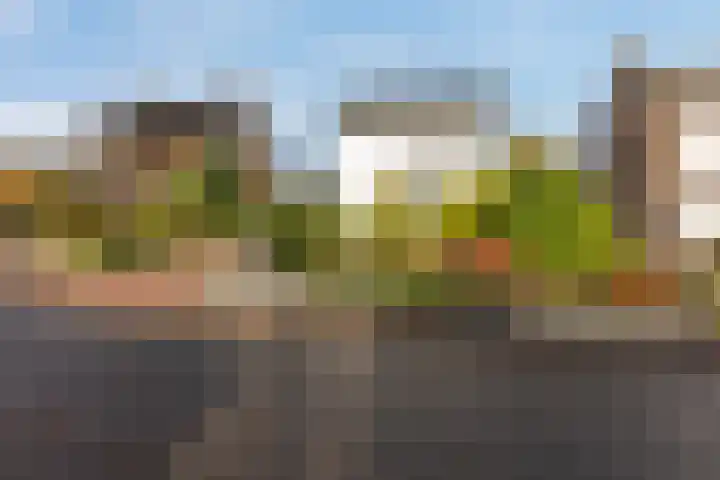 Rijstraat 6 Guttecoven thumbnail 6
