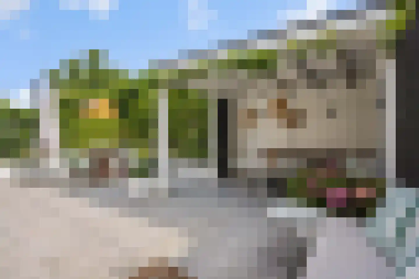 Rijstveld 44 's-Hertogenbosch thumbnail 29
