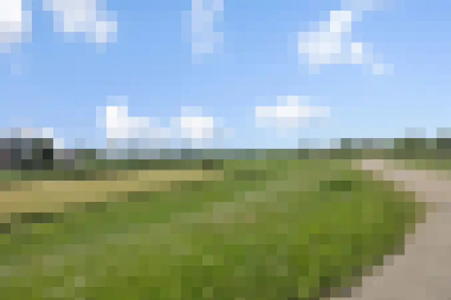 Rijstveld 44 's-Hertogenbosch thumbnail 34