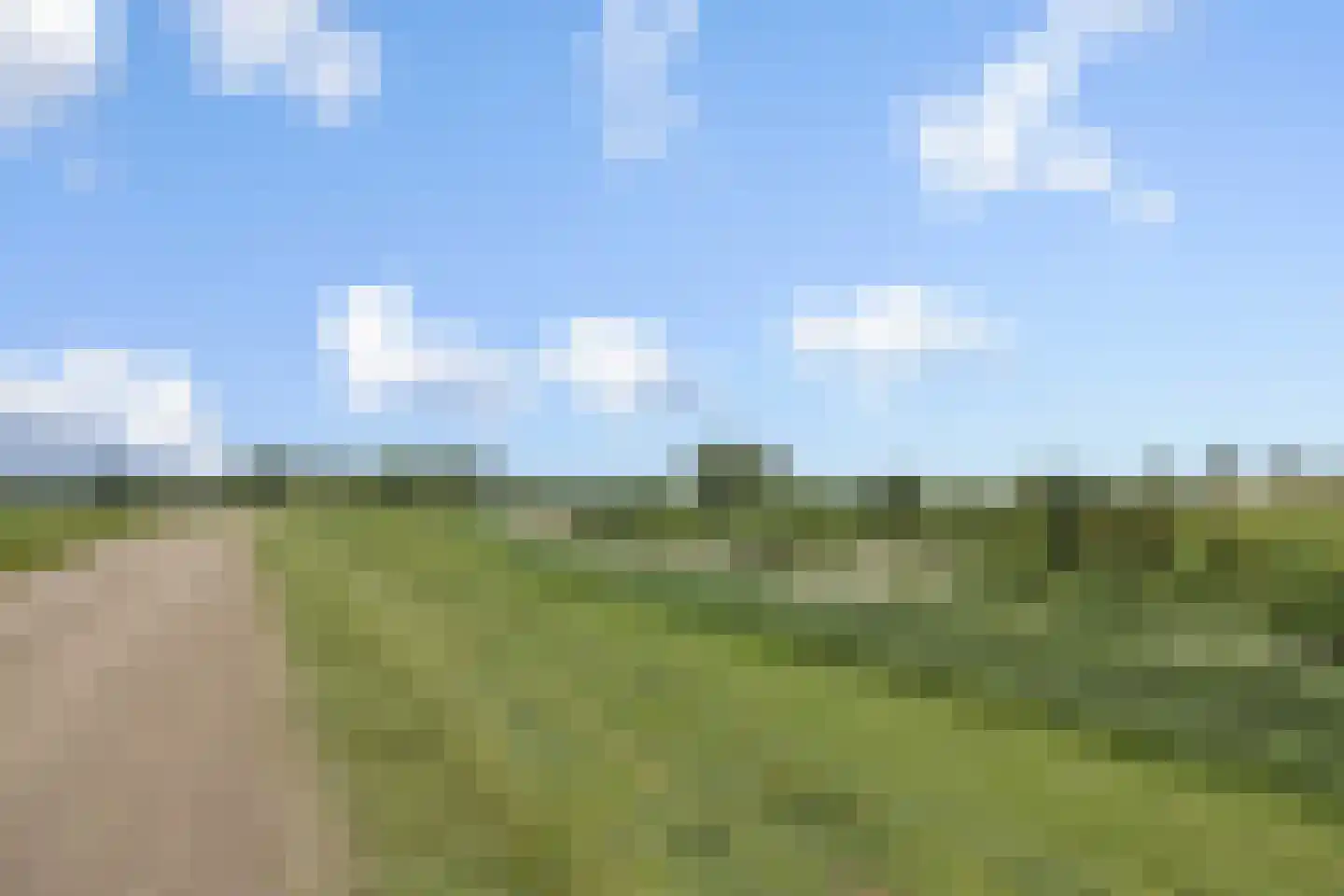 Rijstveld 44 's-Hertogenbosch thumbnail 35