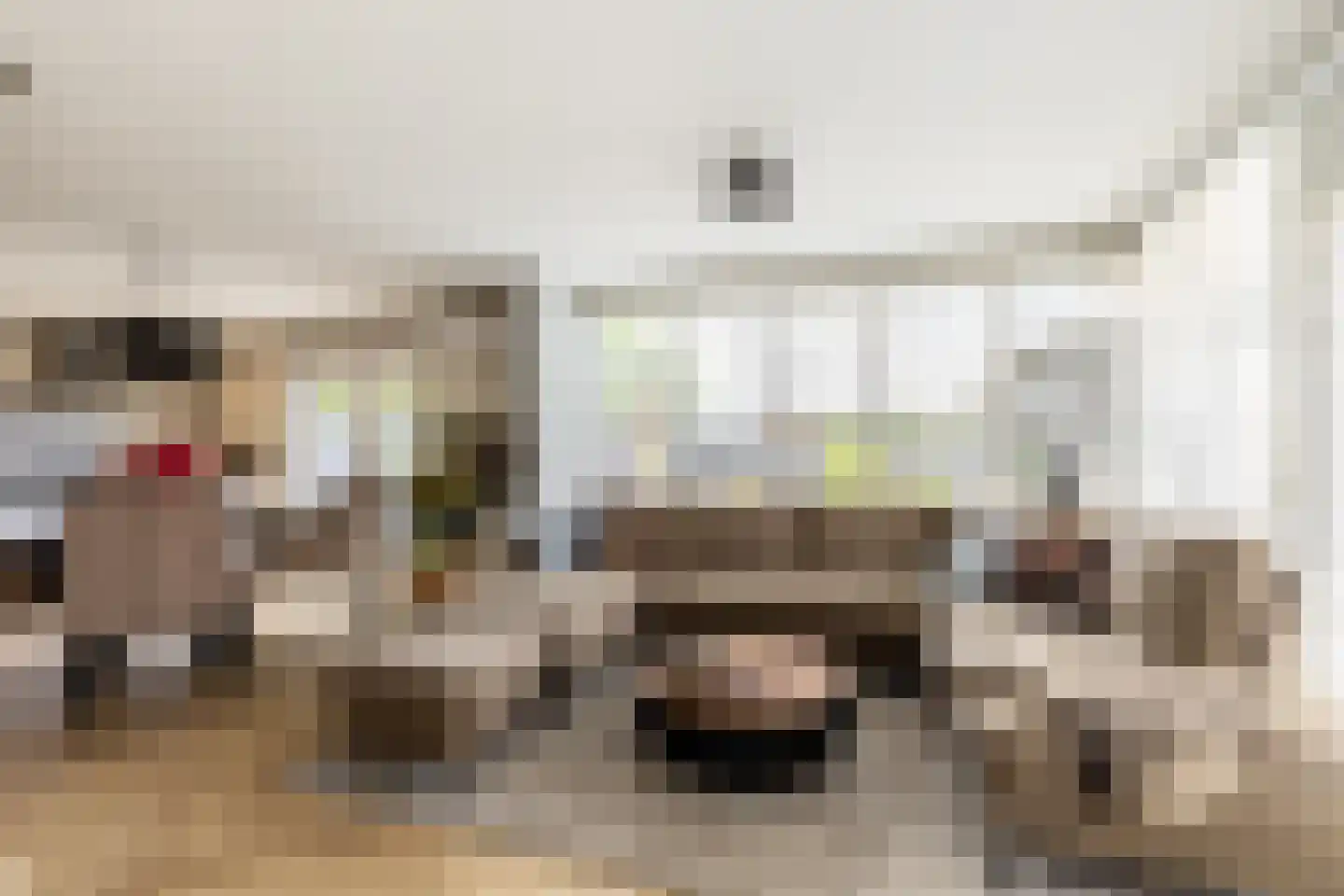 Rijswaardsedijk 17 Zwartewaal thumbnail 12