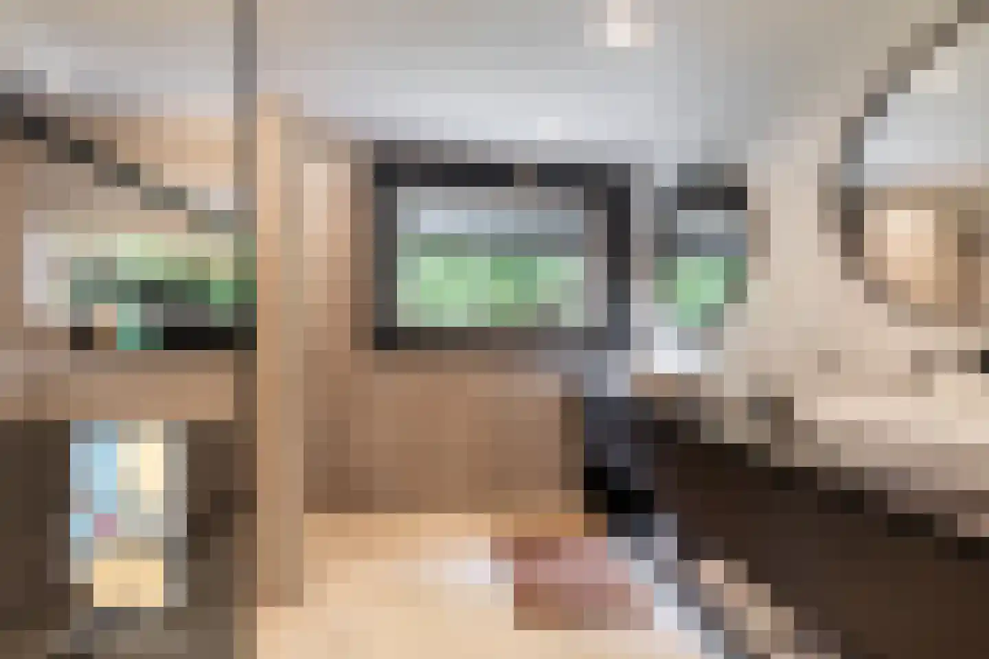 Rijswaardsedijk 17 Zwartewaal thumbnail 19