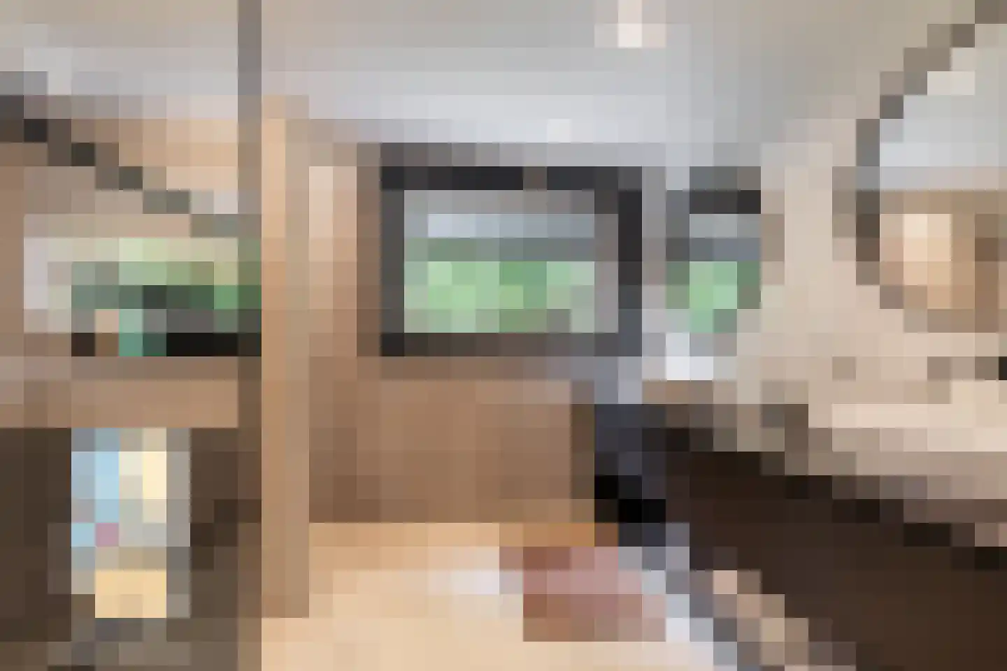 Rijswaardsedijk 17 Zwartewaal thumbnail 20