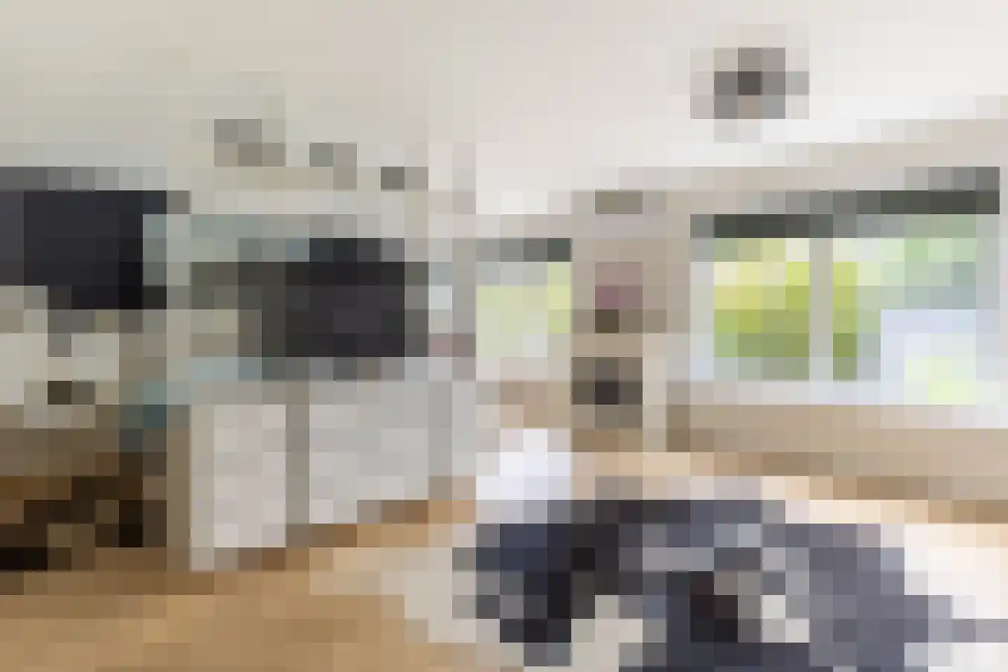 Rijswaardsedijk 17 Zwartewaal thumbnail 23