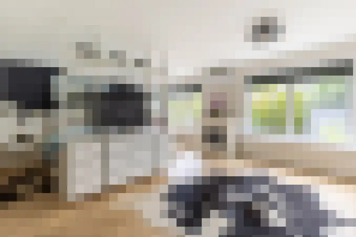 Rijswaardsedijk 17 Zwartewaal thumbnail 24