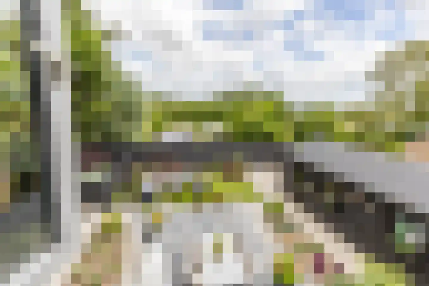 Rijswaardsedijk 17 Zwartewaal thumbnail 28
