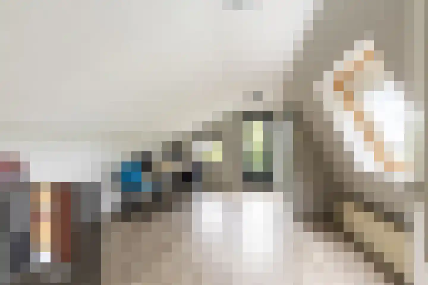 Rijswaardsedijk 17 Zwartewaal thumbnail 30