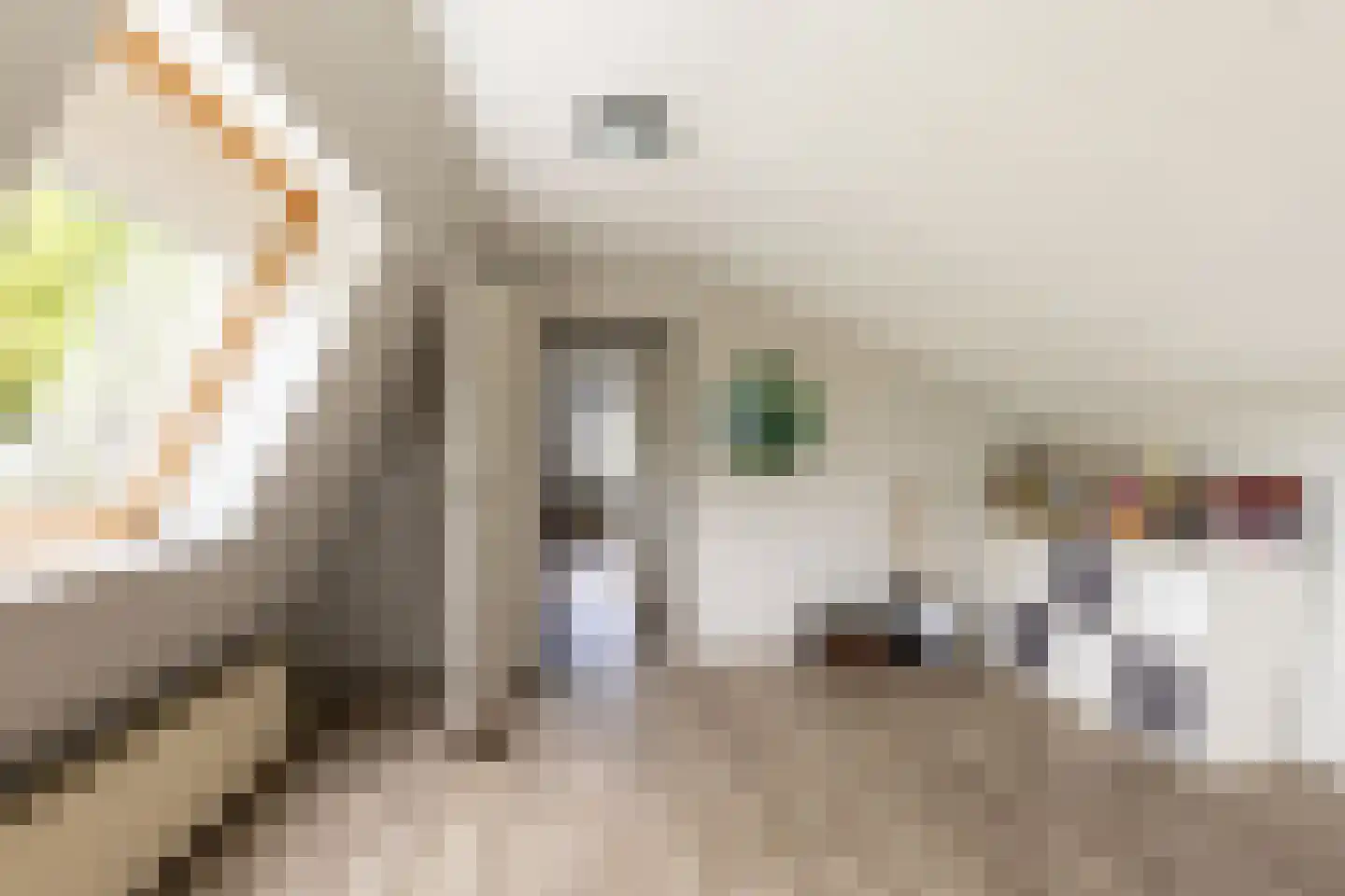 Rijswaardsedijk 17 Zwartewaal thumbnail 32