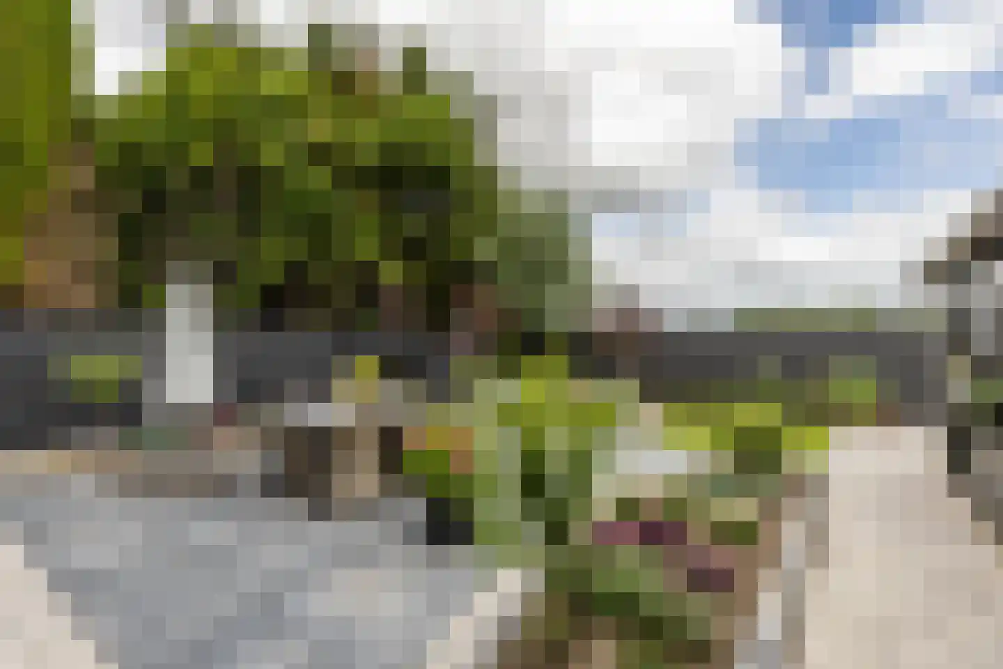 Rijswaardsedijk 17 Zwartewaal thumbnail 34