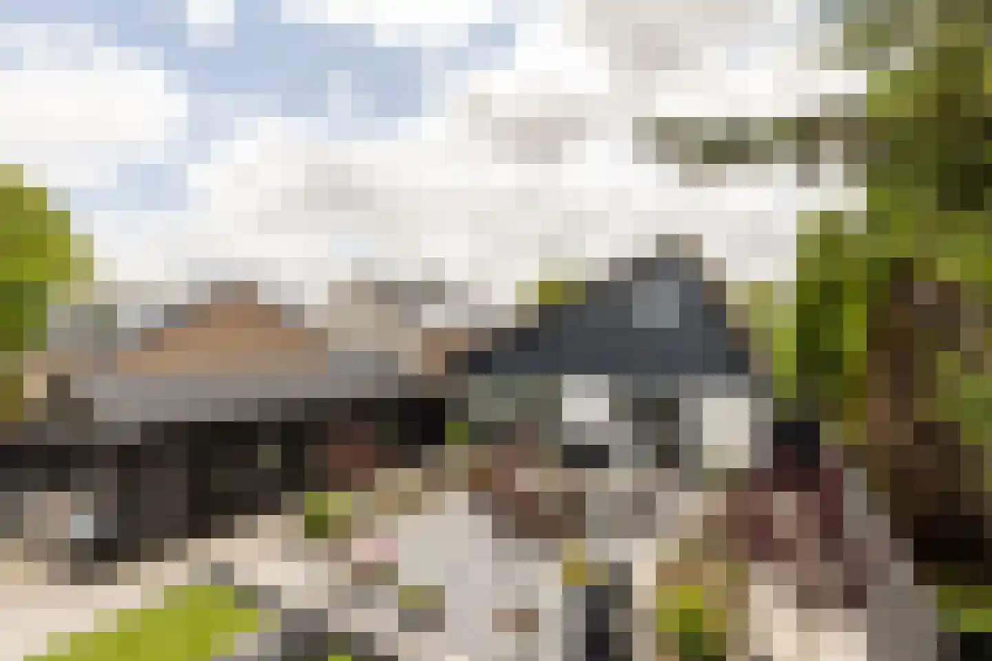 Rijswaardsedijk 17 Zwartewaal thumbnail 39