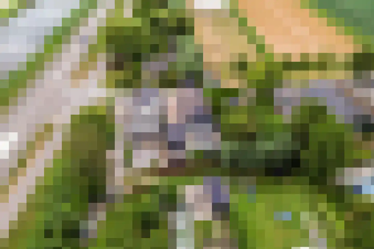 Rijswaardsedijk 17 Zwartewaal thumbnail 40
