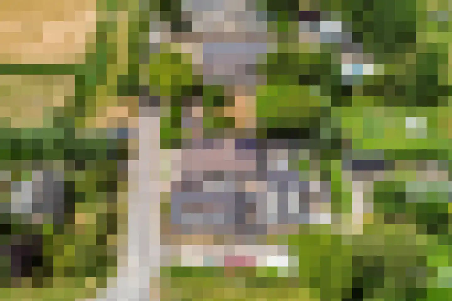 Rijswaardsedijk 17 Zwartewaal thumbnail 41
