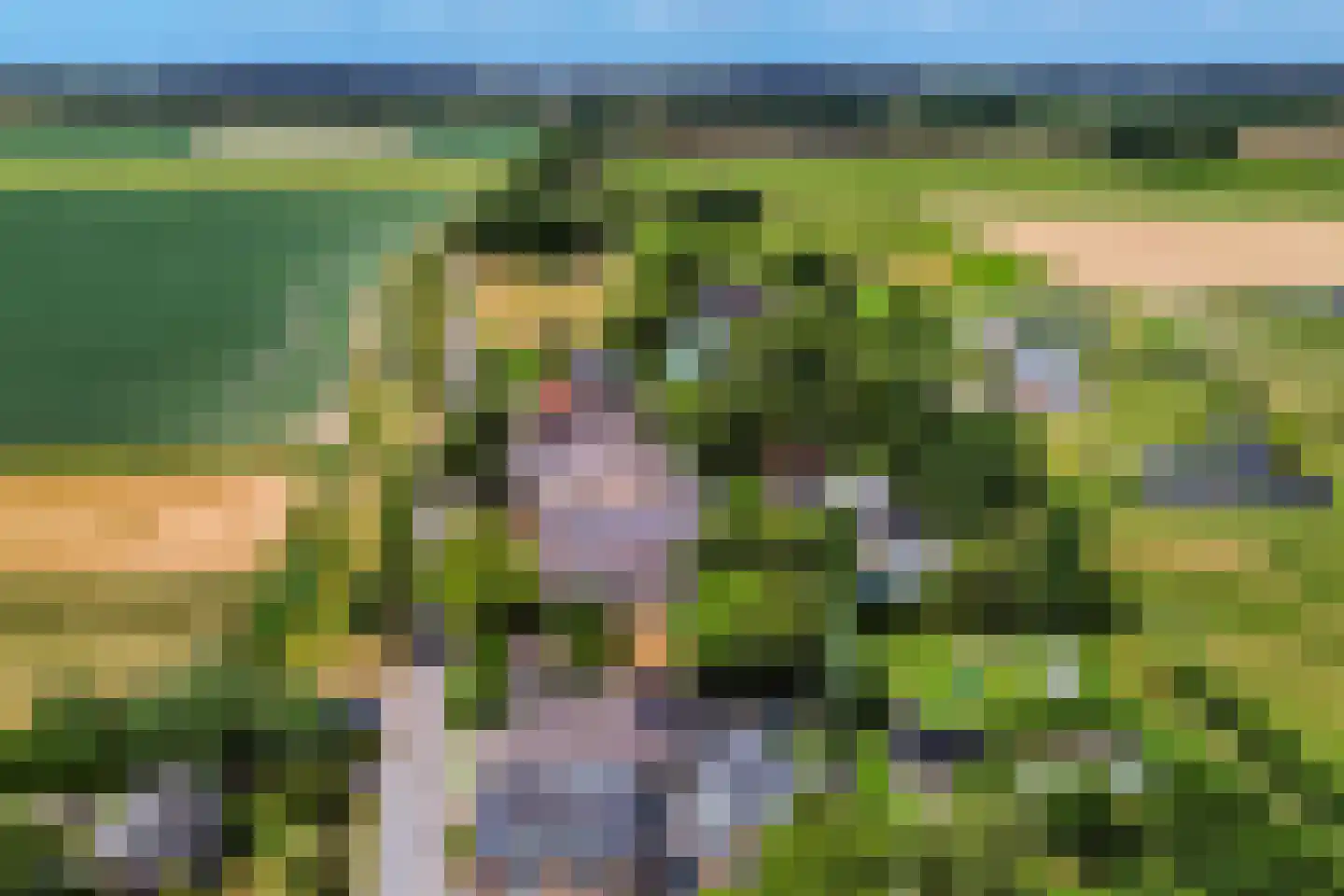 Rijswaardsedijk 17 Zwartewaal thumbnail 42