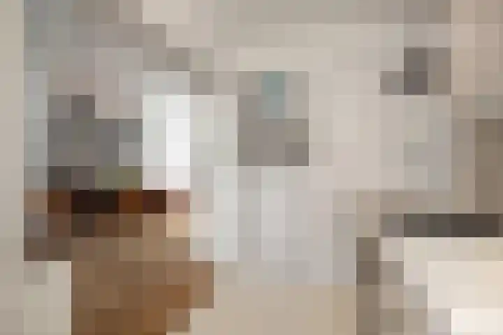 Rijsweerdsweg 42 Deventer thumbnail 11