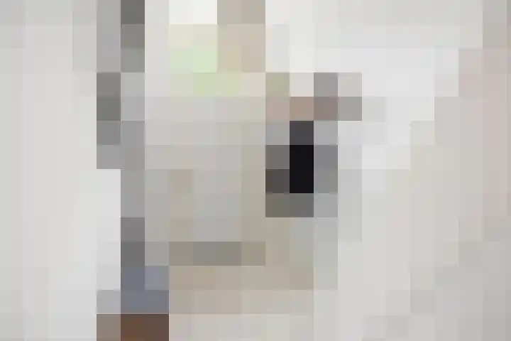 Rijsweerdsweg 42 Deventer thumbnail 12