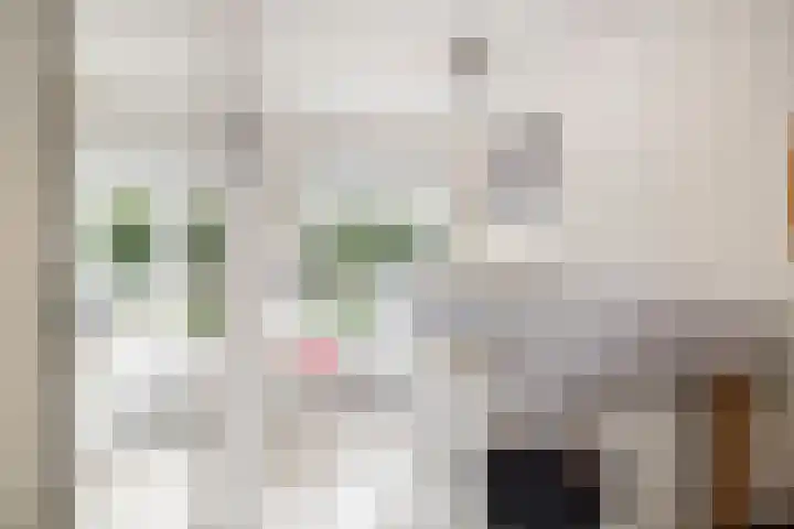 Rijsweerdsweg 42 Deventer thumbnail 18