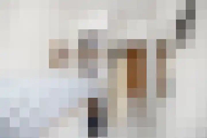 Rijsweerdsweg 42 Deventer thumbnail 19