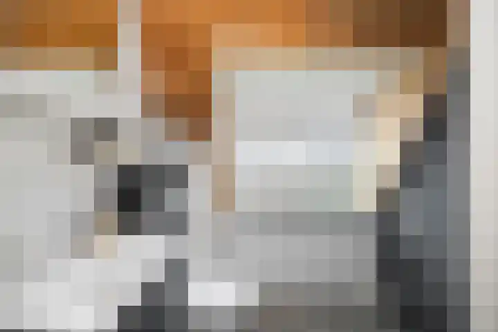 Rijsweerdsweg 42 Deventer thumbnail 20
