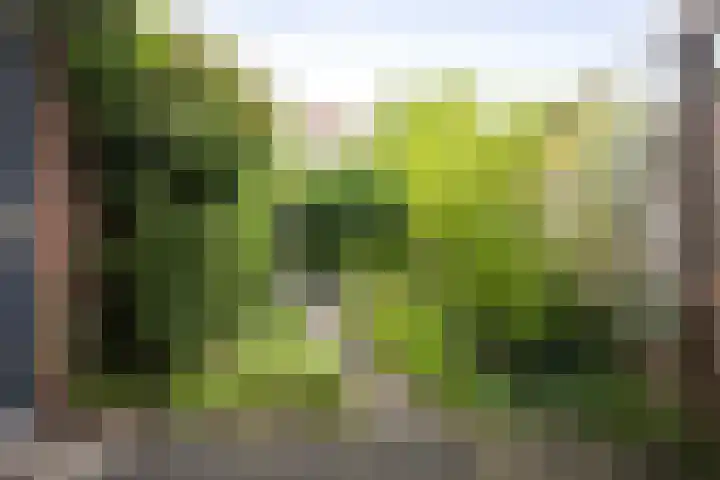 Rijsweerdsweg 42 Deventer thumbnail 25