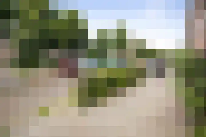 Rijsweerdsweg 42 Deventer thumbnail 29