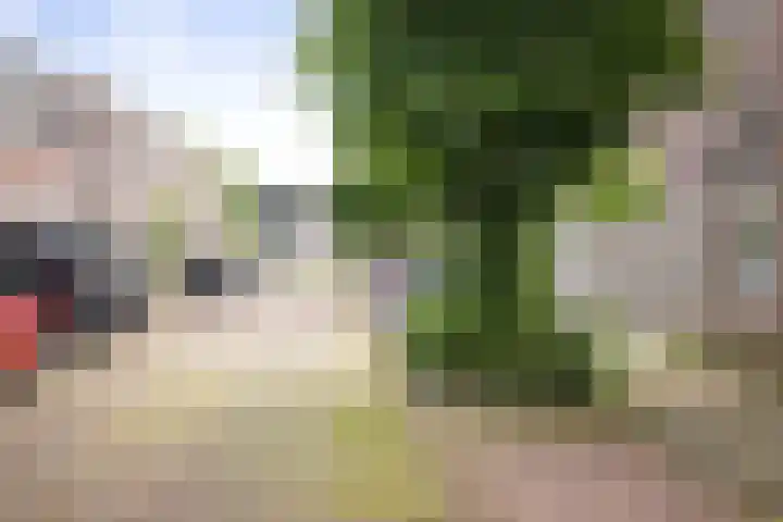 Rijsweerdsweg 42 Deventer thumbnail 30