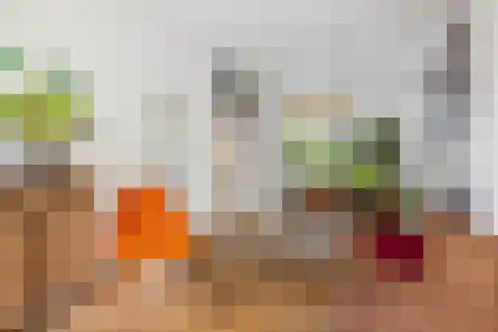 Rijsweerdsweg 42 Deventer thumbnail 4