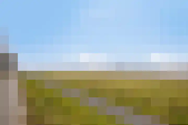 Rijsweerdsweg 50 Deventer thumbnail 33