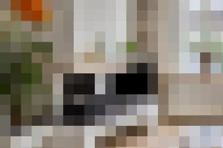 Rijsweerdsweg 50 Deventer thumbnail 7