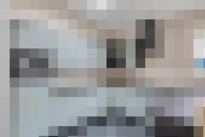 Rijsweerdsweg 50 Deventer thumbnail 9