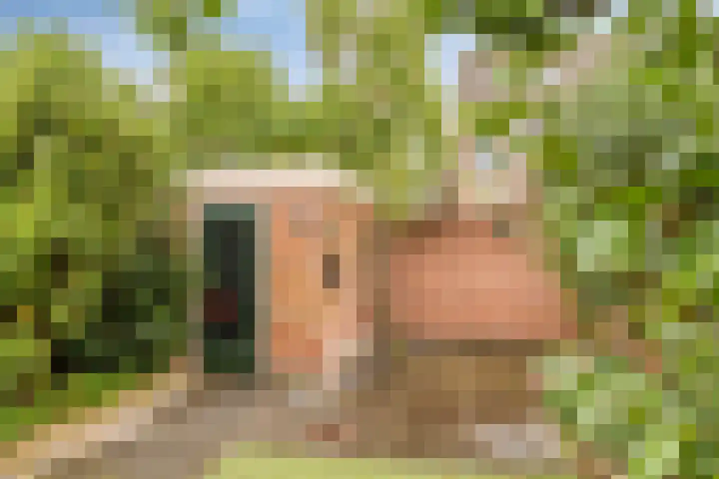 Rijsweerdsweg 52 Deventer thumbnail 28