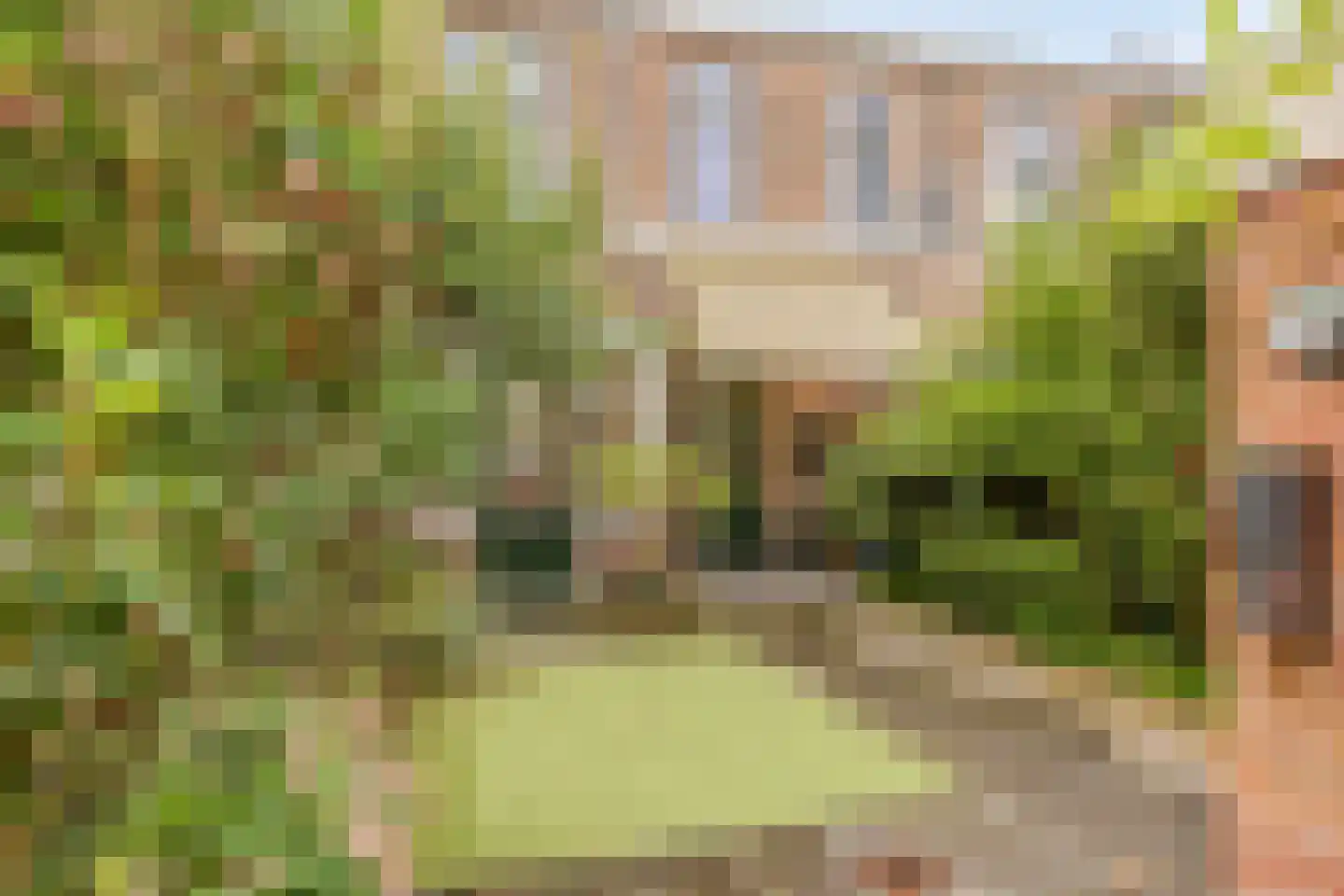 Rijsweerdsweg 52 Deventer thumbnail 29
