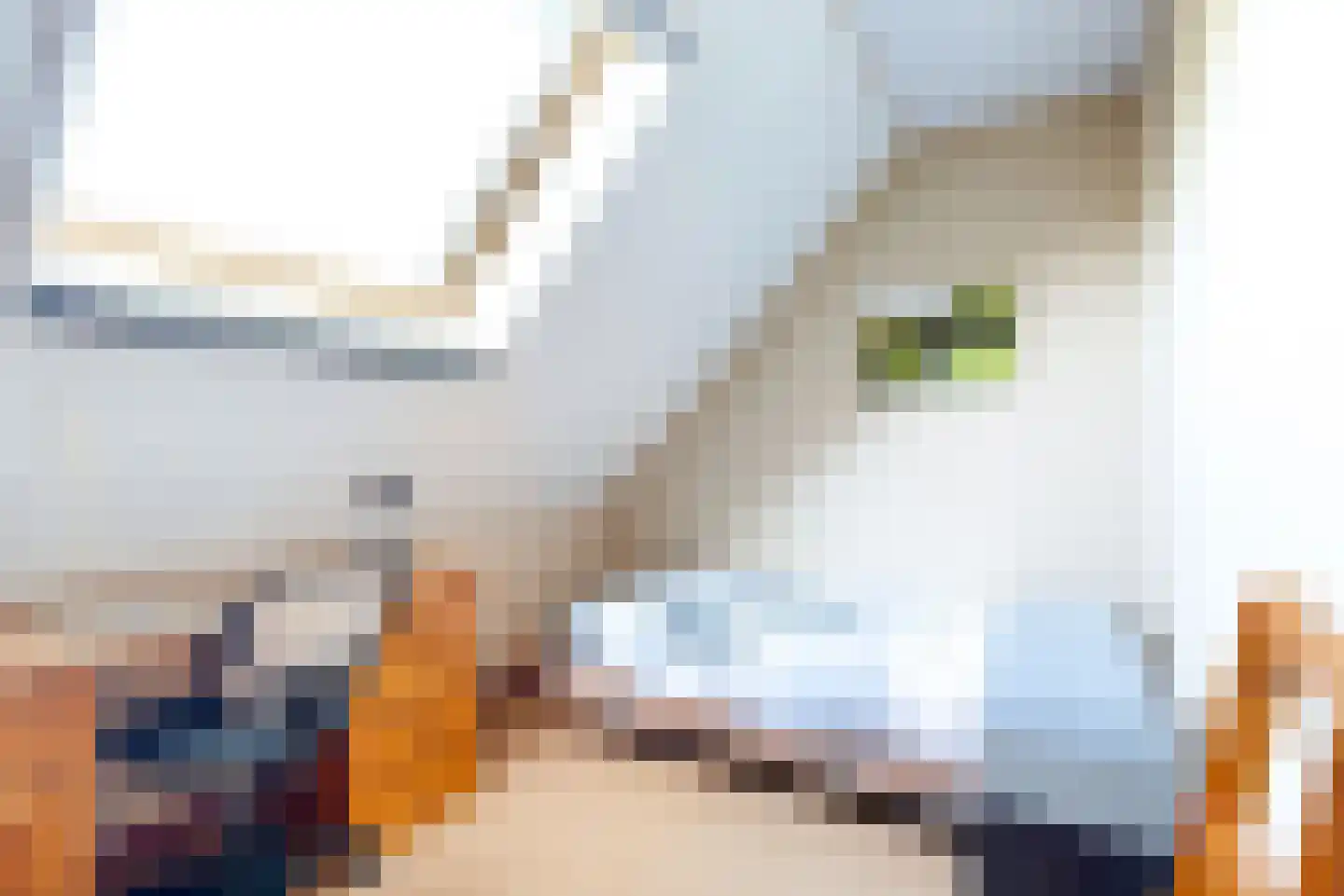 Rijswerker 3 Urk thumbnail 27