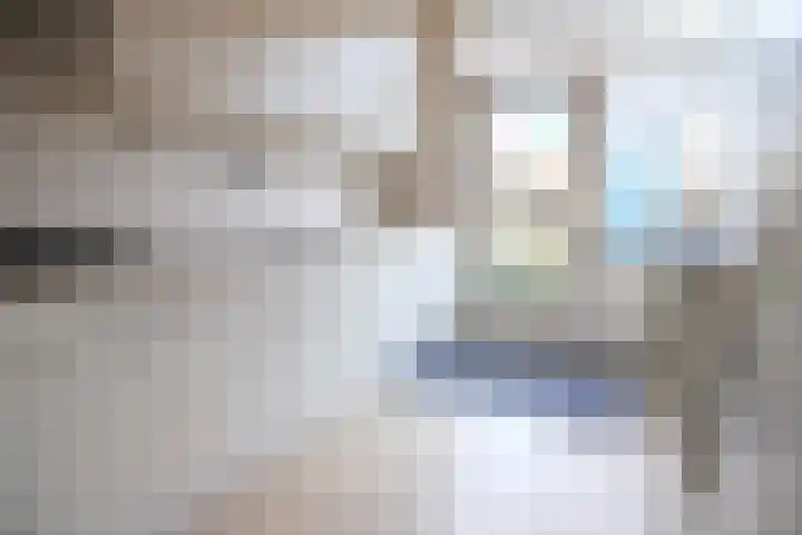 Rijswijklaan 10 Tiel thumbnail 4