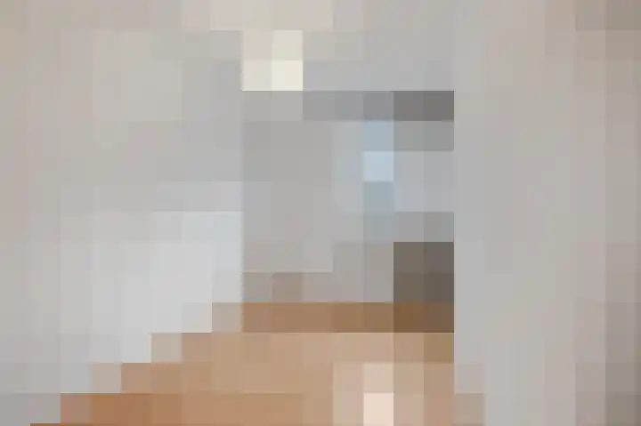Rijswijklaan 3 Tiel thumbnail 13