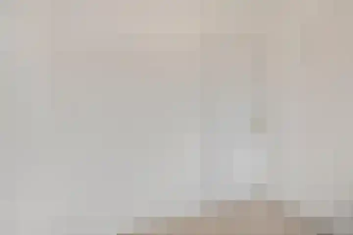 Rijswijklaan 3 Tiel thumbnail 16