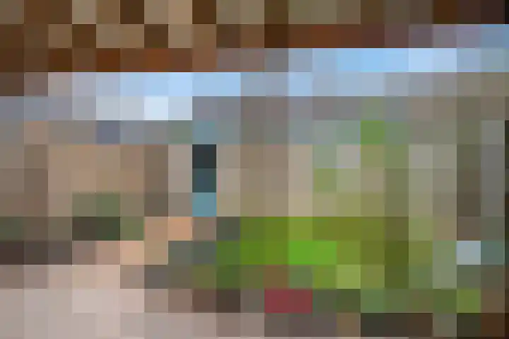 Rijswijklaan 3 Tiel foto 3