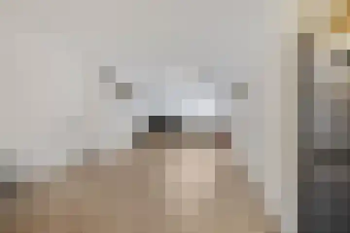 Rijswijklaan 3 Tiel thumbnail 4