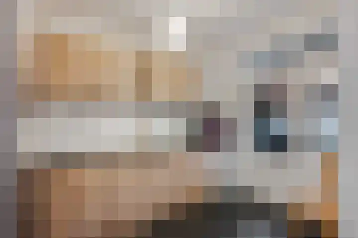 Rijswijklaan 3 Tiel thumbnail 6