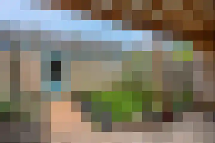 Rijswijklaan 3 Tiel thumbnail 7