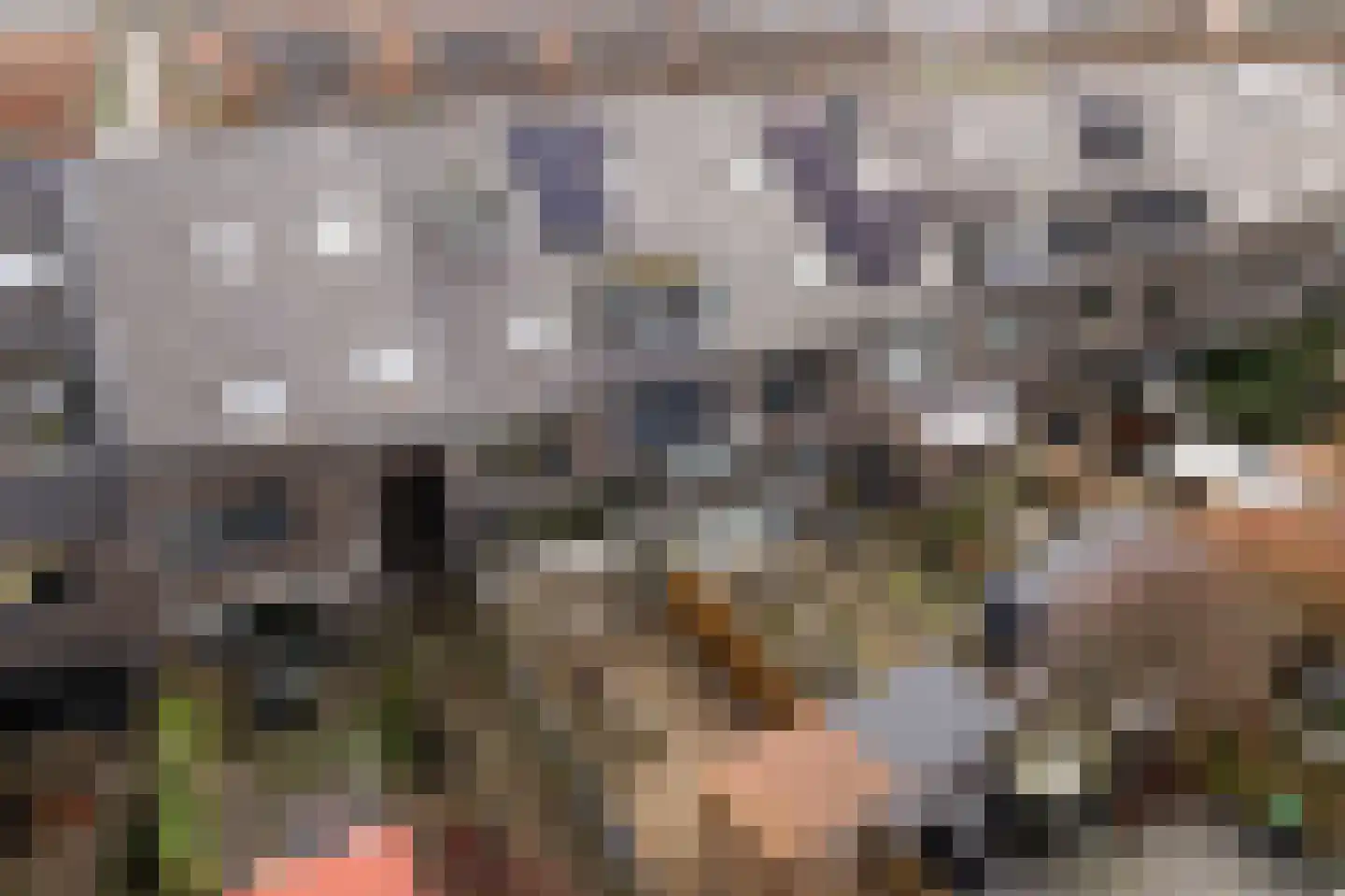 Rijswijkse Landingslaan 109 Den Haag thumbnail 23