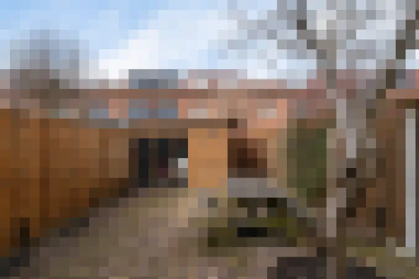 Rijswijkse Landingslaan 109 Den Haag thumbnail 24