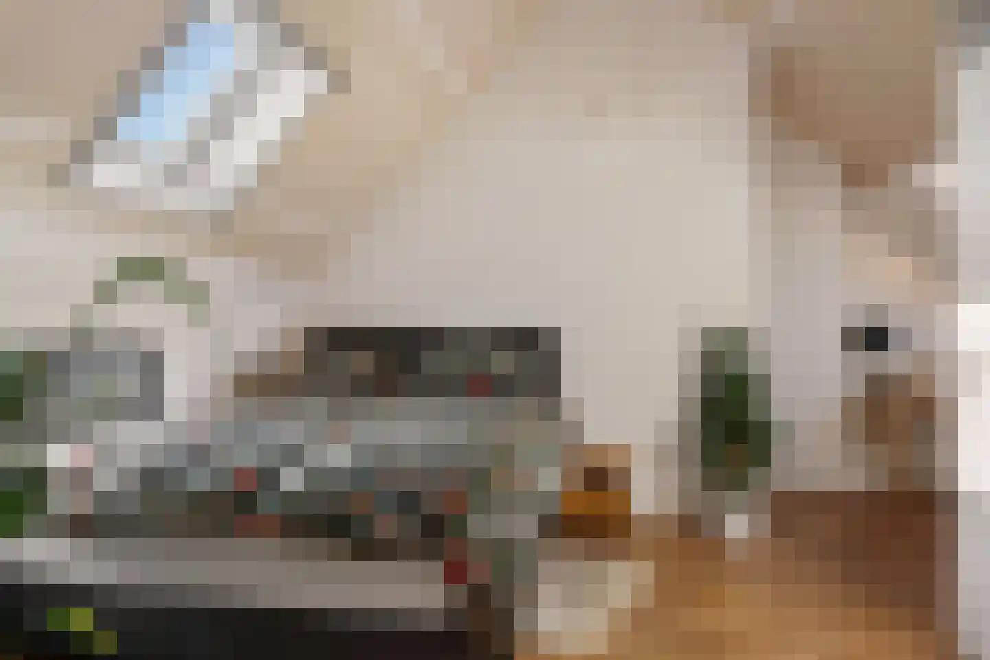Rijswijkse Landingslaan 109 Den Haag thumbnail 48