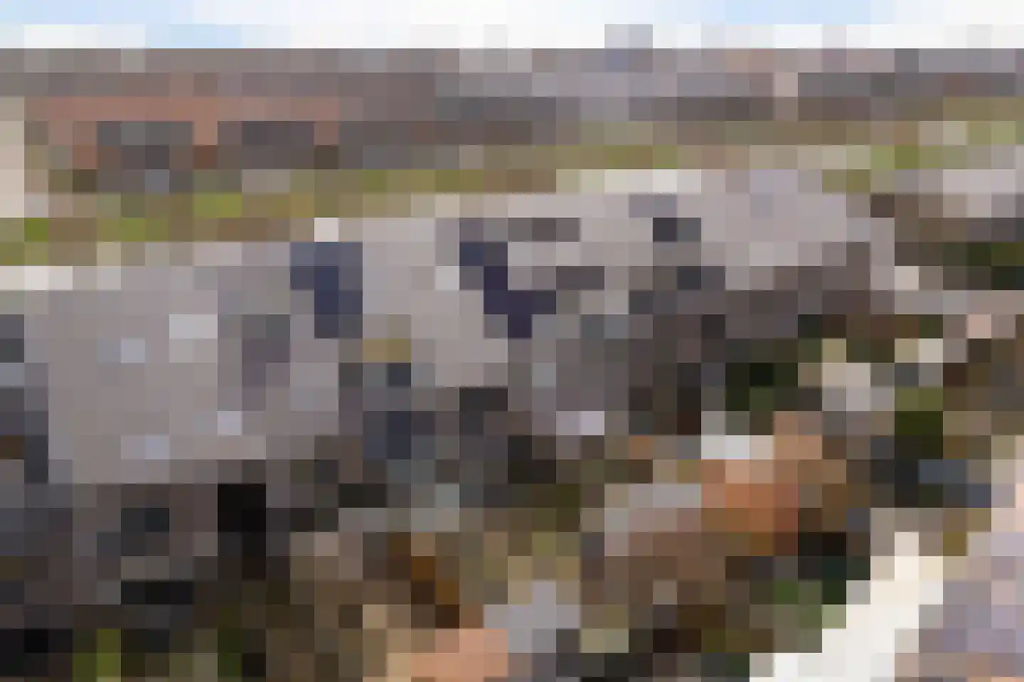 Rijswijkse Landingslaan 109 Den Haag thumbnail 55